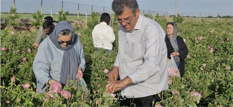 روزی در میان عطر گل محمدی؛ یادگاری سفر بازنشستگان مخابرات استان قزوین